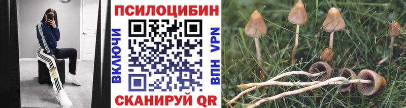 Купить  Полтавская  Галлюциногенные грибы Magic Shrooms 